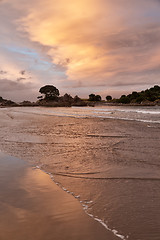 Image showing Bay Of Plenty sunset
