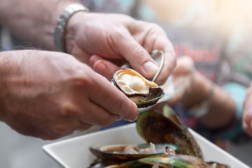 Image showing Eating mussel in New Zealand
