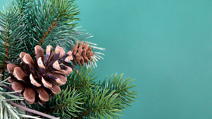 Image showing twig with pine cones background