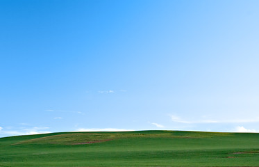 Image showing green fields and sky