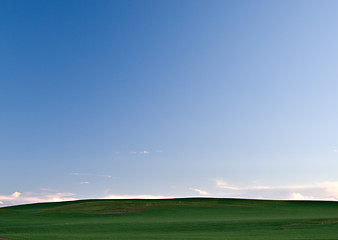 Image showing green fields and sky