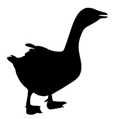 Image showing Goose gaggling and walking