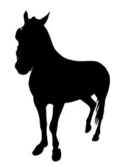 Image showing Horse silhouette