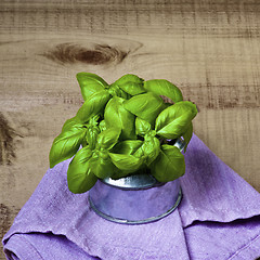 Image showing Bunch of Green Basil
