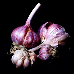 Image showing Ripe Dried Garlic