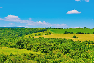 Image showing Forest and Fields