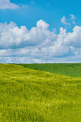 Image showing Green Field