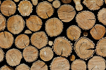 Image showing Stacked Logs Background