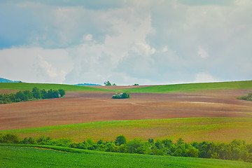 Image showing Fields under Sky