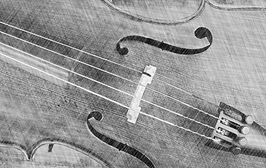 Image showing cello or violin