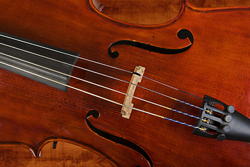 Image showing cello or violin