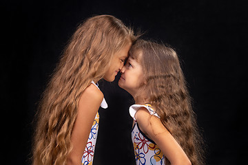 Image showing Two girls buried their noses at each other