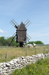 Image showing Grazing horses by an old windmill at the island Oland in Sweden