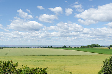 Image showing Farmland at the southern part of the island Oland in Sweden
