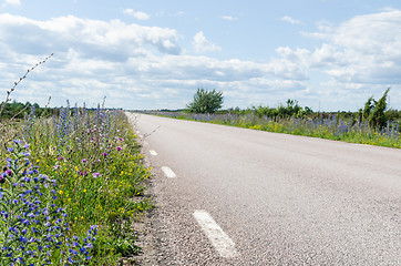 Image showing Beautiful summer flowers by road side at the island Oland in Swe