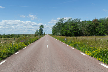 Image showing Country road surrounded with blossom road sides