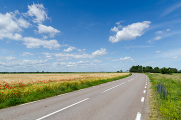 Image showing Summer view of a beautiful  country road with blossom road sides