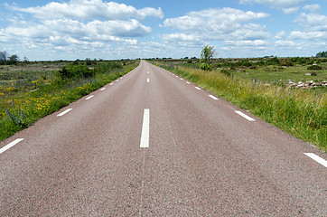 Image showing Beautiful road with flowers by road side at the great plain area