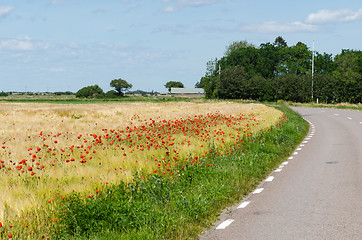 Image showing Red poppies in a field by a winding road in the World Heritage  