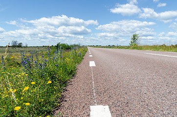 Image showing Beautiful blossom road side in a low perspective image