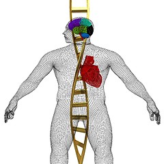 Image showing 3D medical background with DNA strands and wire human body model