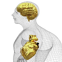 Image showing Wire human body model with heart and brain in x-ray. 3d render