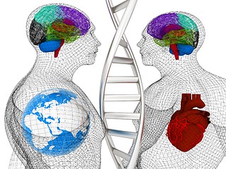 Image showing 3D medical background with DNA strands and wire human body model