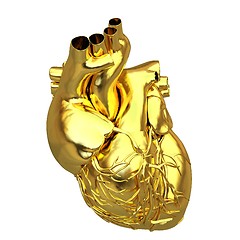 Image showing Golden anatomical heart. 3d render