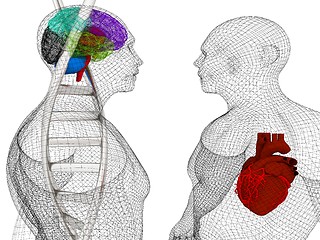 Image showing 3D medical background with DNA strands and wire human body model