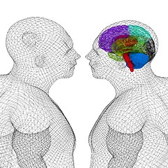 Image showing Wire human model with brain and a model of a person without a br