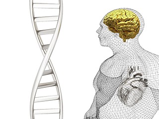 Image showing 3D medical background with DNA strands and wire human body model