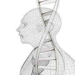 Image showing 3D medical background with DNA strands and human. 3d render