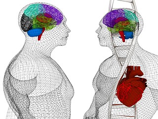 Image showing 3D medical background with DNA strands and wire human body model