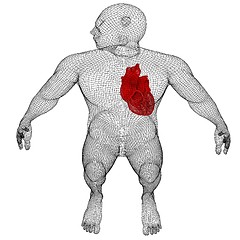 Image showing Human Internal Organic - Human Heart, medical concept. 3d render