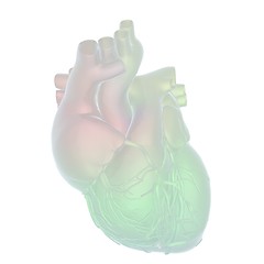 Image showing Abstract illustration of anatomical human heart. 3d render