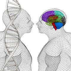 Image showing 3D medical background with human, brain and DNA strands. 3d rend