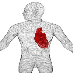 Image showing Human Internal Organic - Human Heart, medical concept. 3d render