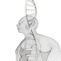 Image showing 3D medical background with DNA strands and human. 3d render
