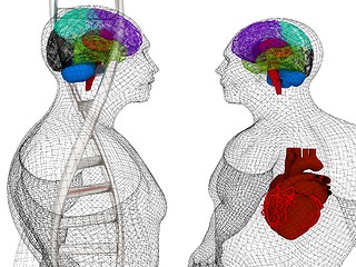 Image showing 3D medical background with DNA strands and wire human body model