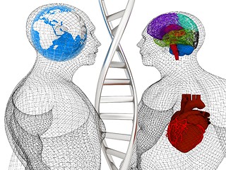 Image showing 3D medical background with DNA strands and wire human body model