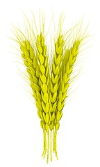 Image showing Wheat ears spikelets with grains. 3d render