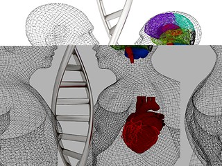 Image showing 3D medical background with DNA strands and wire human body model