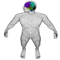 Image showing Wire human model with brain. 3d render