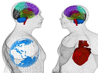 Image showing Wire human body model with heart and brain in x-ray. 3d render. 