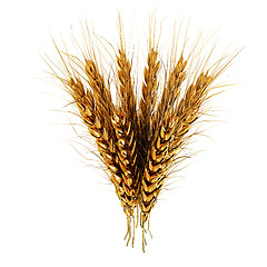 Image showing Golden spikelet. 3d render