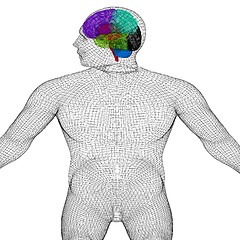 Image showing Wire human model with brain. 3d render