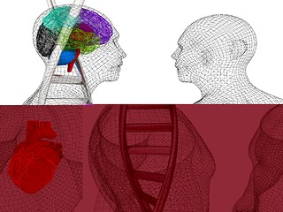 Image showing 3D medical background with DNA strands and wire human body model