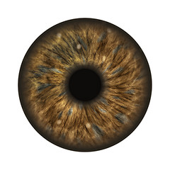 Image showing dark brown human iris