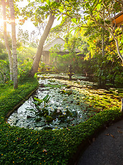 Image showing pond and fountain in a garden in Bali Indonesia