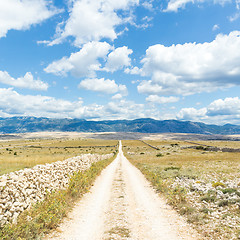 Image showing Dirt road leading trough dry rocky Mediterranean coastal lanscape of Pag island, Croatia in summertime